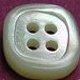 TROCHUS Shell Buttons
