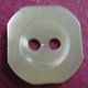 TROCHUS Shell Buttons