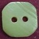 TROCHUS Shell Buttons