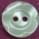 TROCHUS Shell Buttons