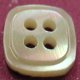 TROCHUS Shell Buttons
