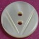 TROCHUS Shell Buttons