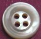 Whitelip MOP Shell Button