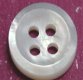 Whitelip MOP Shell Button