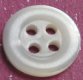 Whitelip MOP Shell Button