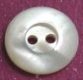 Whitelip MOP Shell Button