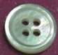 Whitelip MOP Shell Button