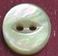 Whitelip MOP Shell Button