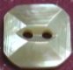 Whitelip MOP Shell Button