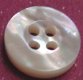 Whitelip MOP Shell Button