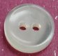 Whitelip MOP Shell Button